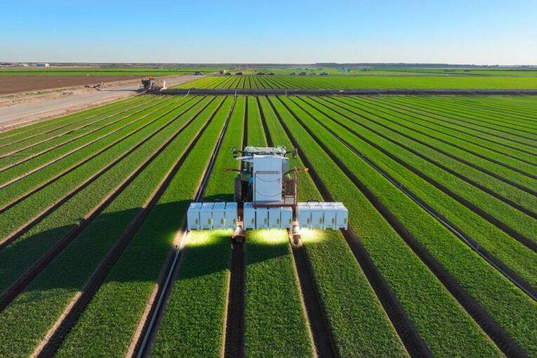 Large Plant Models and the Future of Autonomous Agriculture