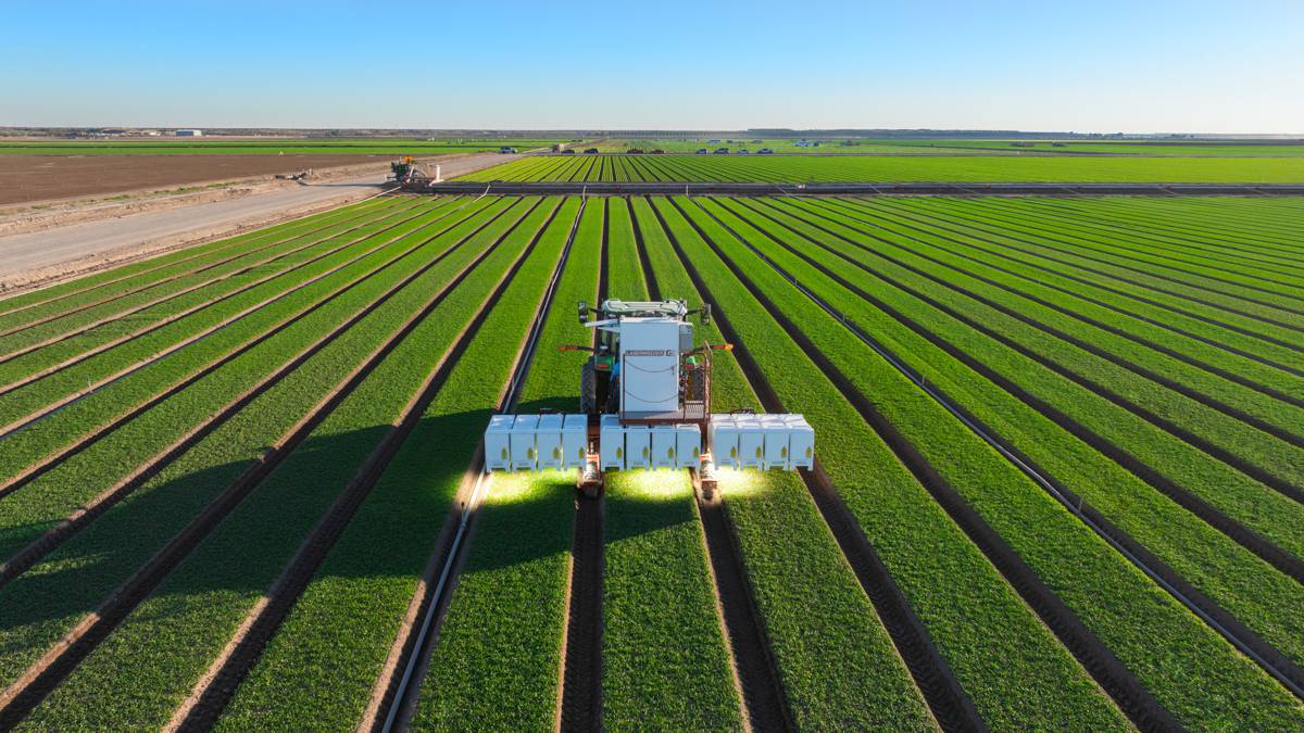 Large Plant Models and the Future of Autonomous Agriculture