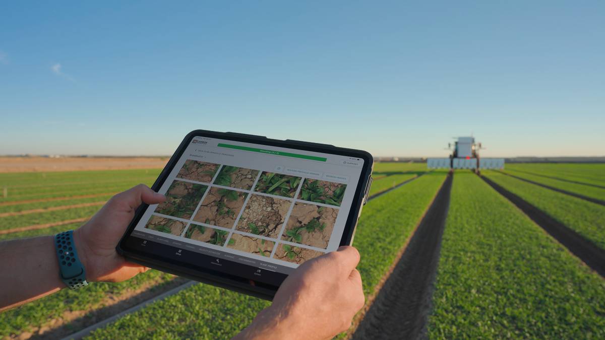 Large Plant Models and the Future of Autonomous Agriculture