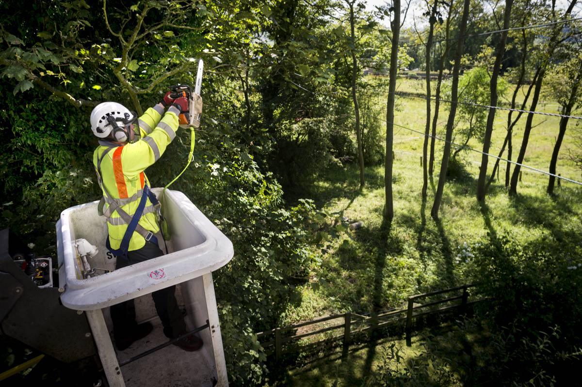 Amey Sets the Standard for Safety Excellence with RoSPA Gold Success