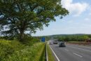 The Hidden Carbon Cost Of Britain's Disappearing Roadside Trees