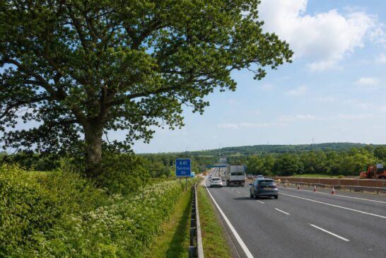 The Hidden Carbon Cost Of Britain's Disappearing Roadside Trees