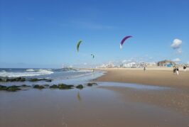 Building Resilience as The Hague Plans its Coastline for 2100