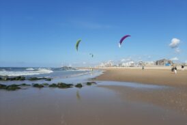 Building Resilience as The Hague Plans its Coastline for 2100
