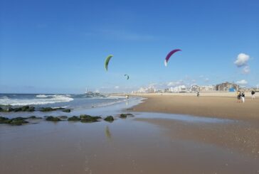 Building Resilience as The Hague Plans its Coastline for 2100