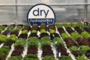 Dry Hydroponics and LocalDutch Bring Smart Farming to the Smart City