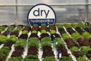 Dry Hydroponics and LocalDutch Bring Smart Farming to the Smart City