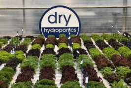 Dry Hydroponics and LocalDutch Bring Smart Farming to the Smart City
