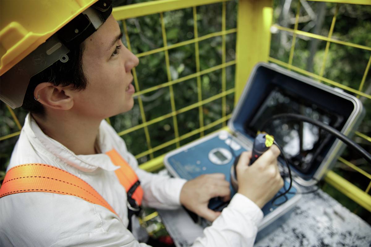 Deep inside a protected section of rainforest near Manaus, Brazil, a researcher works among the steel ring infrastructure of the AmazonFACE programme — a pioneering experiment launched in 2014 to study whether the Amazon can keep pace with rising carbon dioxide levels.