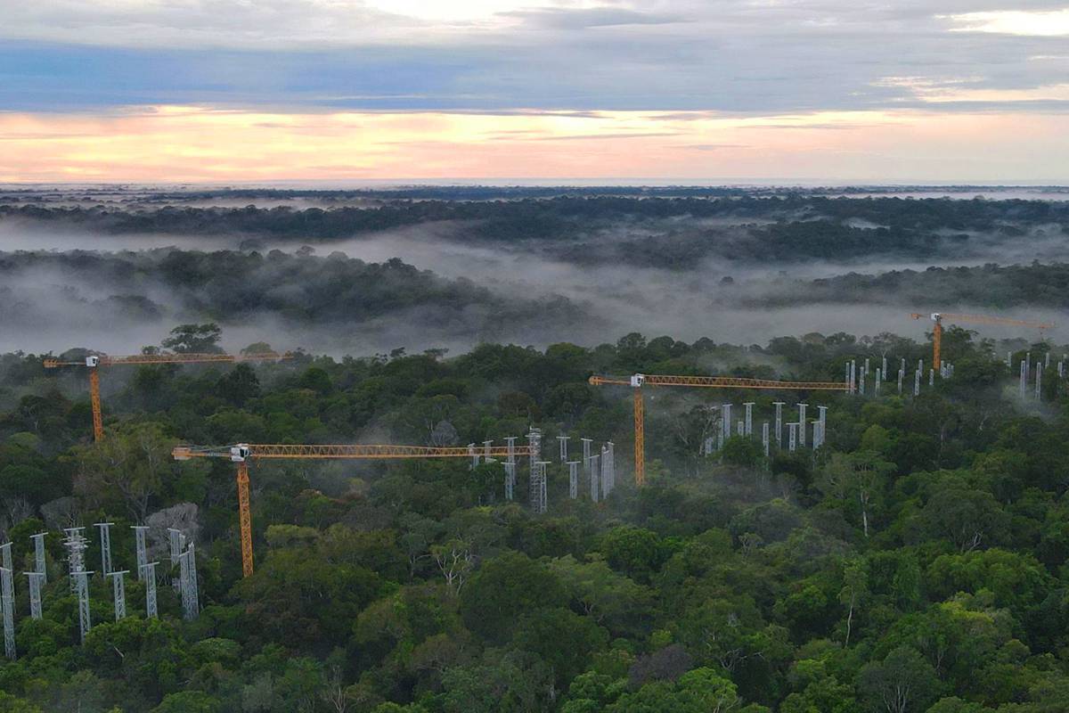 For one of the world's most consequential climate research programmes, four Liebherr 85 EC-B tower cranes are enabling scientists to study the Amazon rainforest from above the canopy.
