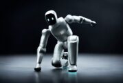 Zeroth Bridge Takes the Humanoid Robot into Developer Territory