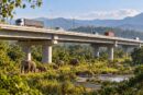 Nepal Plans Elevated Wildlife Highway in $305.75 Million Road Upgrade