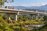 Nepal Plans Elevated Wildlife Highway in $305.75 Million Road Upgrade