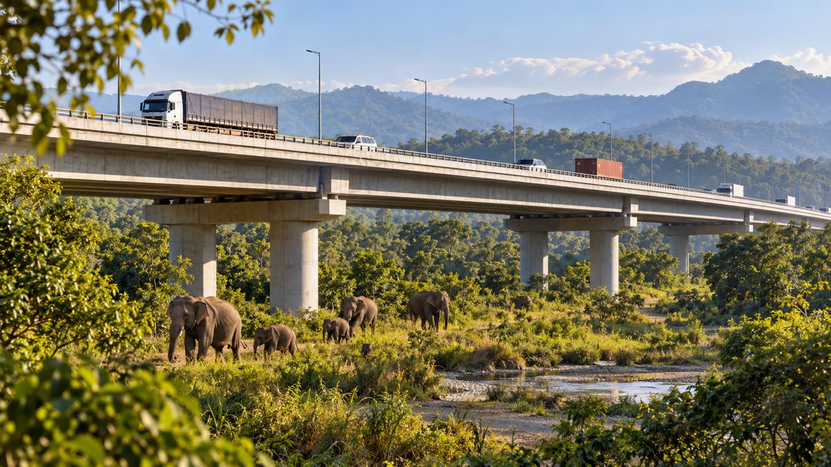 Nepal Plans Elevated Wildlife Highway in $305.75 Million Road Upgrade